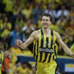 vesely