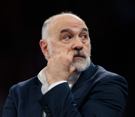 El Efes elige a Pablo Laso